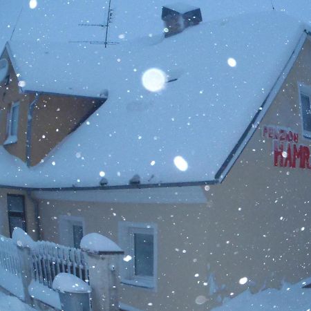 Penzion Hamrak Ceske Hamry Exterior photo